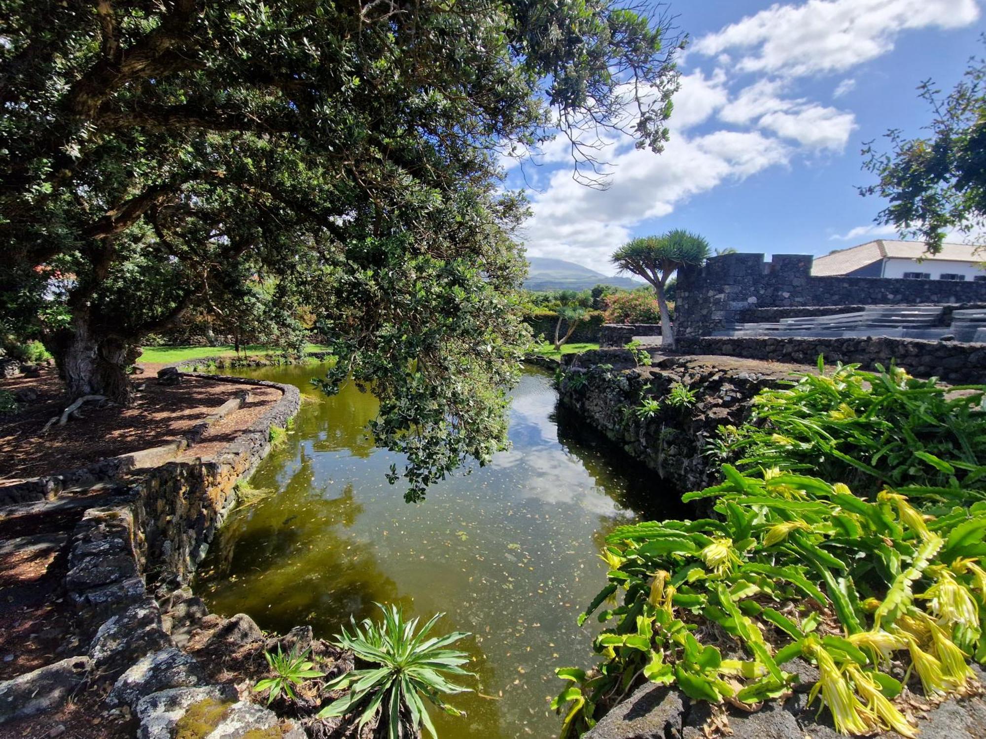 Villa Solar Dos Limas Criacao Velha Exterior foto